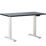 TYCHE HOME 53" W x 27.5" D Dual Motor Height Adjustable Desk ( White Base + Black Top )